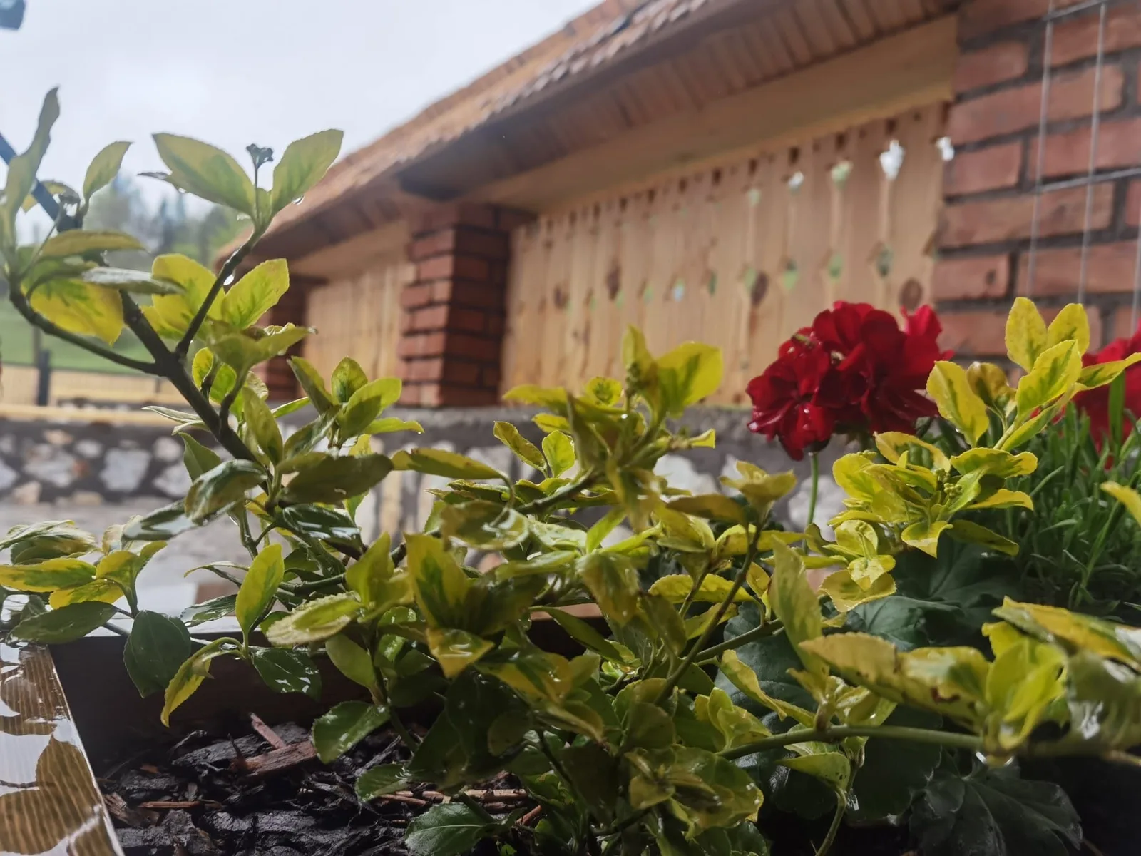 Casa din Fagi — Gârda de Sus, Apuseni — Gârda de Sus, Alba