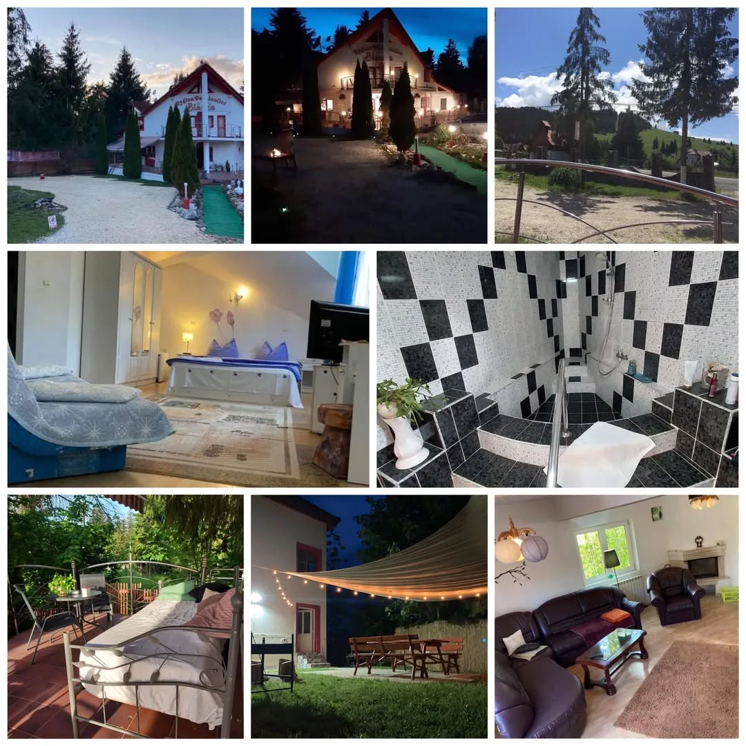 Vilă Izvorul Mureșului — Harghita — Izvorul Mureșului, Harghita