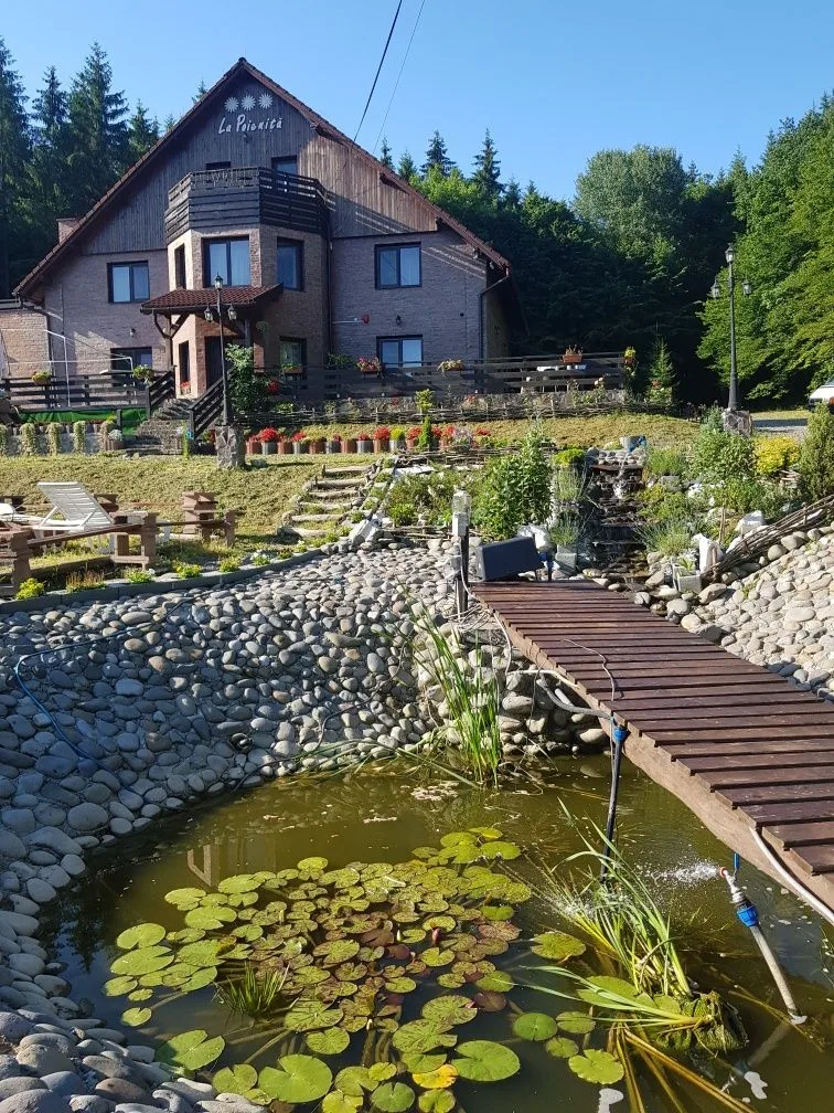 Cabana - ciubar, padure, sauna — Ideciu de Jos, Mureș
