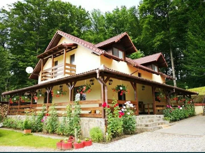 Casa de vacanta Natalia-Valea Avigului — Porumbacu de Sus, Sibiu