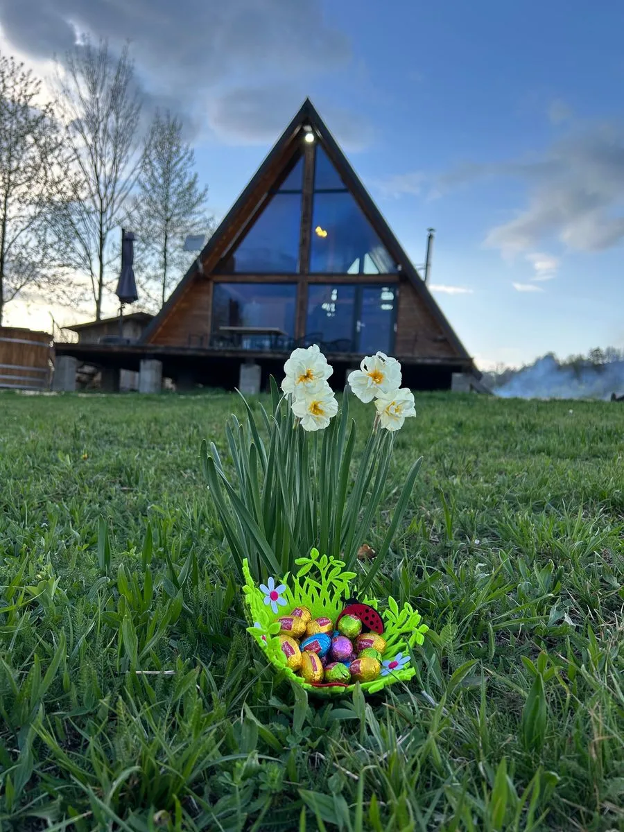 Cabana tip A cu ciubăr — Sinca Noua, Brașov