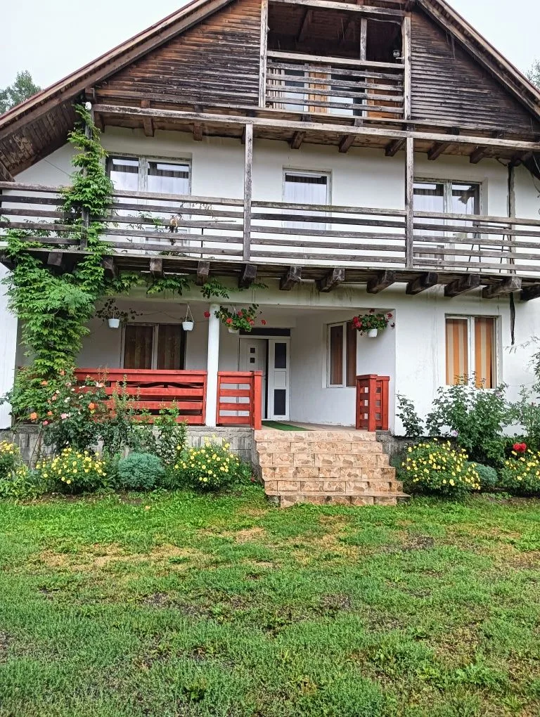 Cabană de închiriat — Borzia, Mureș