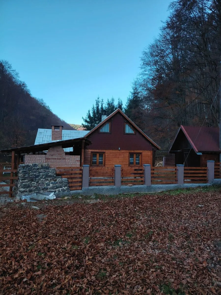 Cabana de închiriat — Bratca, Bihor