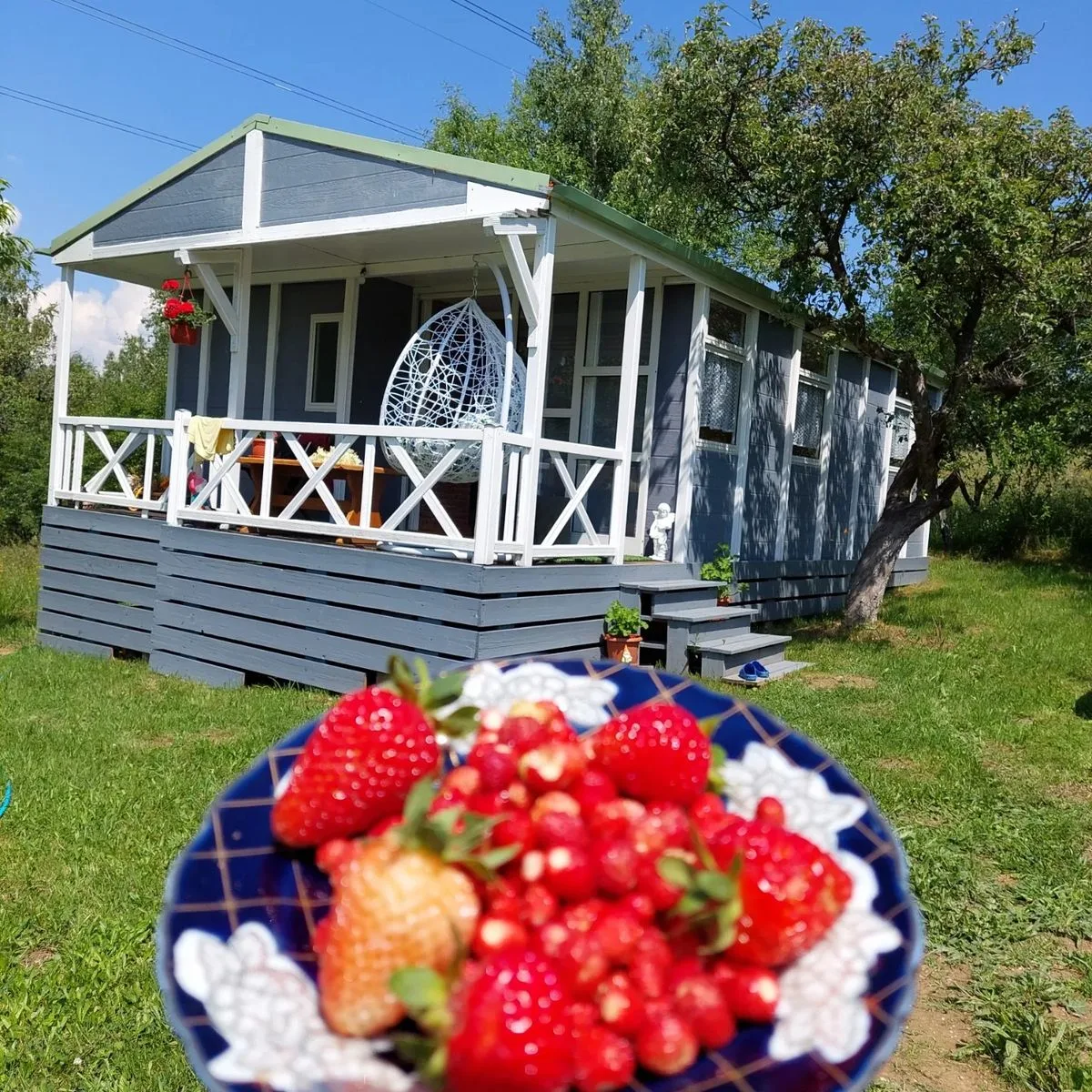 Casuta cu Jacuzzi / Cabana Bran -Sohodol cu Ciubăr de inchiriat · Rasnov, Brașov — Rasnov, Brașov