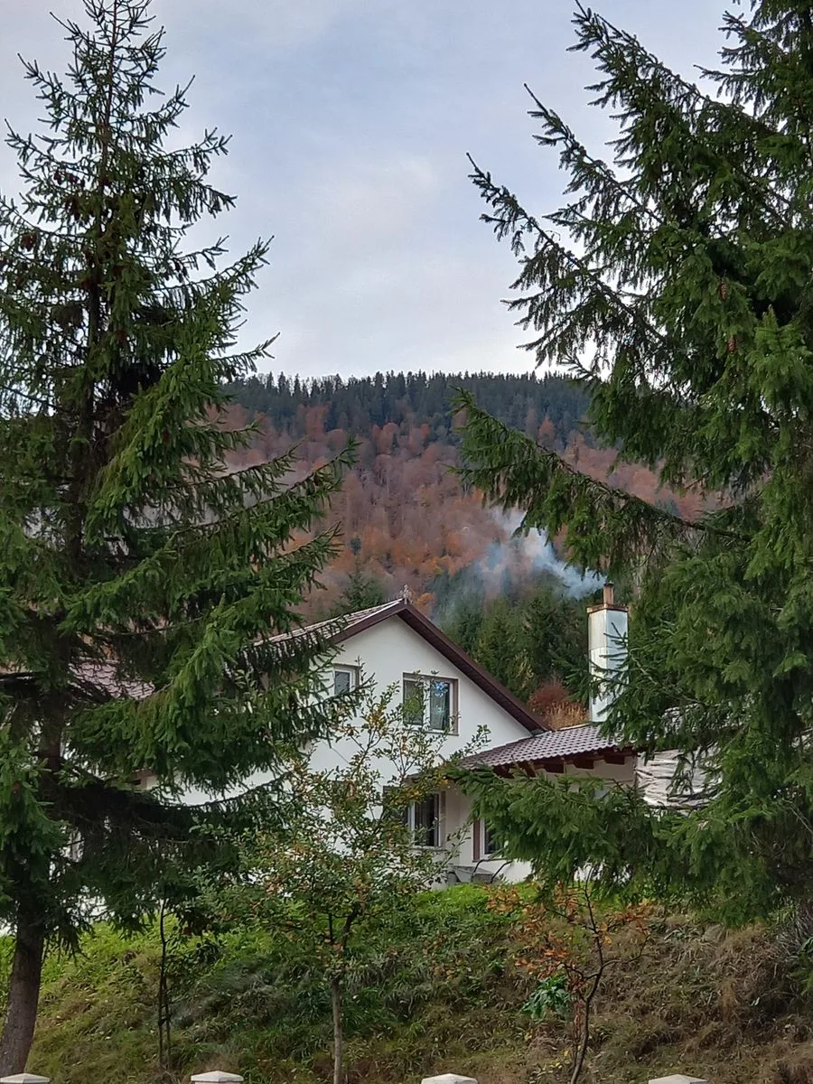 Cabana Revelion- Închiriez cabana de  la Piatra-Fântânele, jud. B-N. — Piatra Fantanele, Brașov