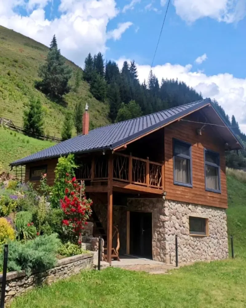 Cabana Ryan · Dămuc, Neamț — Dămuc, Neamț