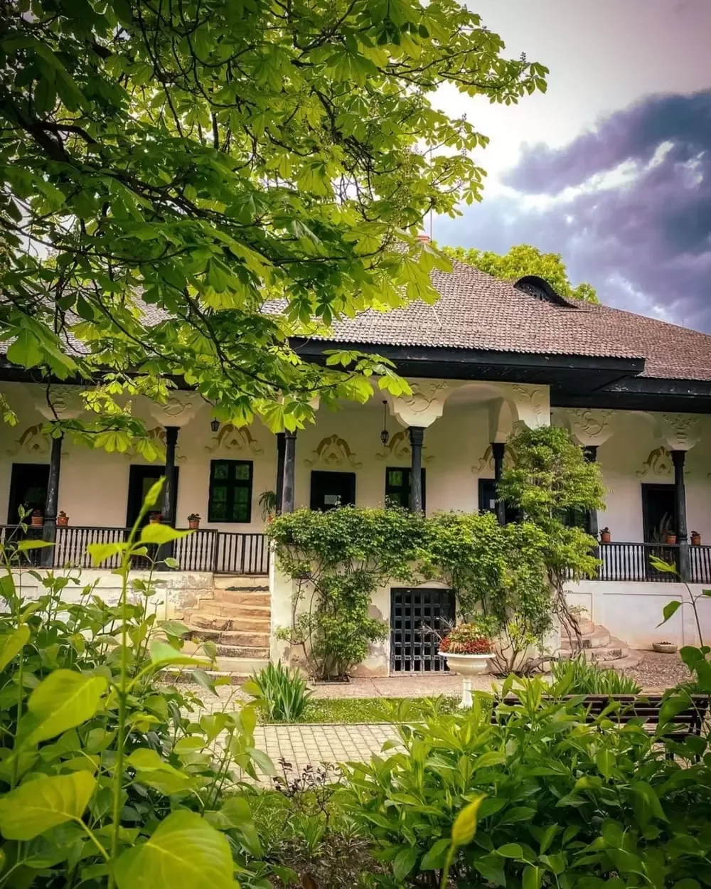 Forest Valley Chalet · Gâlmeia, Prahova — Gâlmeia, Prahova